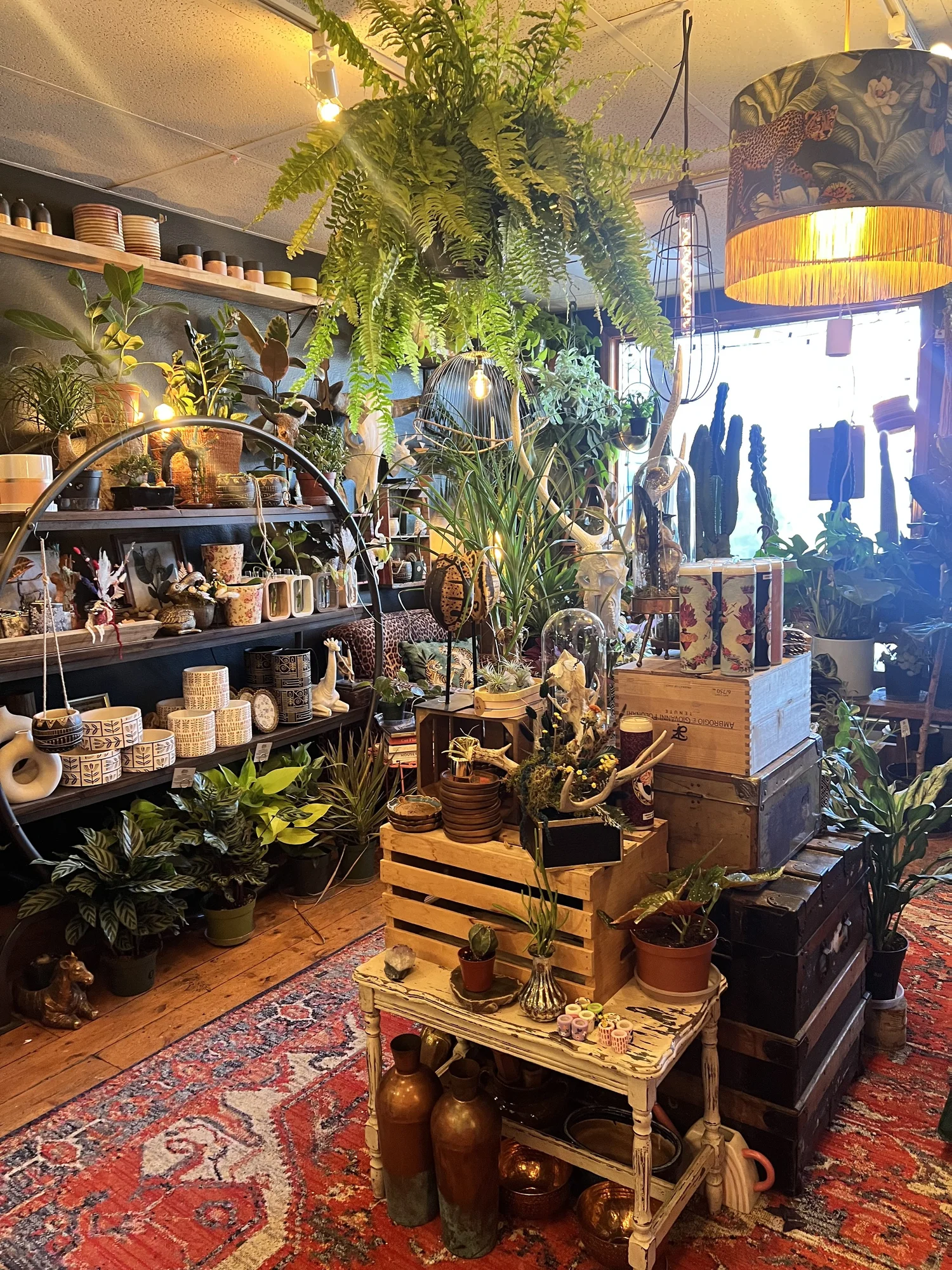 Inside the Bramble & Bloom floral shop.